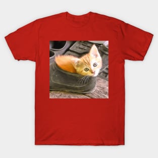 A red kitten sitting in a shoe T-Shirt